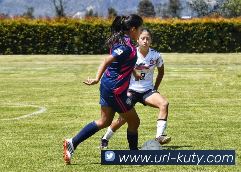 酷游体育发展历程